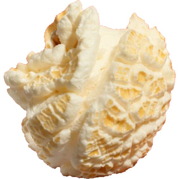Fresh twist-tie kettle corn